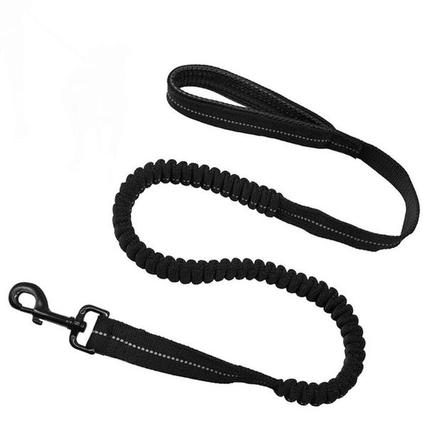 dog collars & leashes leash with reflective stitches elastic retractable bungee pet flexible lead pl033
dog collars & leashes leash with reflective stitches elastic retractable bungee pet flexible lead pl033