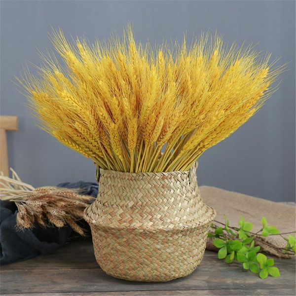 decorative flowers & wreaths 55cm wheat ear natural dried flower real barley bouquet home garden living room party wedding decoration arrang
decorative flowers & wreaths 55cm wheat ear natural dried flower real barley bouquet home garden living room party wedding decoration arrang
