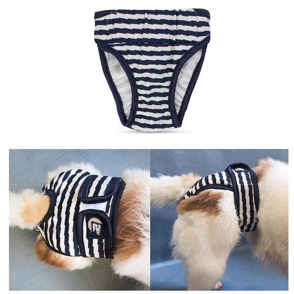 dog apparel diaper adjustable stripe pet sanitary pantie for female dogs 
dog apparel diaper adjustable stripe pet sanitary pantie for female dogs