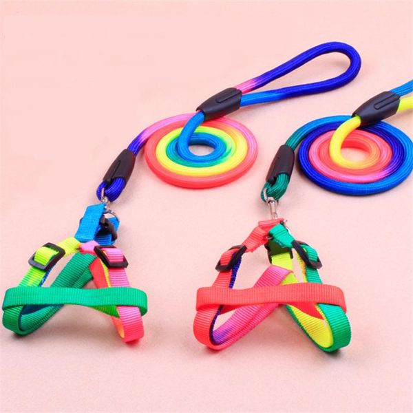 dog collars & leashes small chain pet harness vest rope training leash puppy golden petshop arnes perro mediano products ee5qy
dog collars & leashes small chain pet harness vest rope training leash puppy golden petshop arnes perro mediano products ee5qy