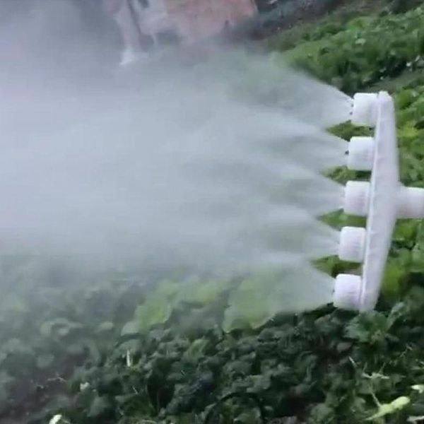 drought land irrigation porous large displacement garden plant sprinkle accessories professional farm sprinkler vegetables g457 watering equ
drought land irrigation porous large displacement garden plant sprinkle accessories professional farm sprinkler vegetables g457 watering equ