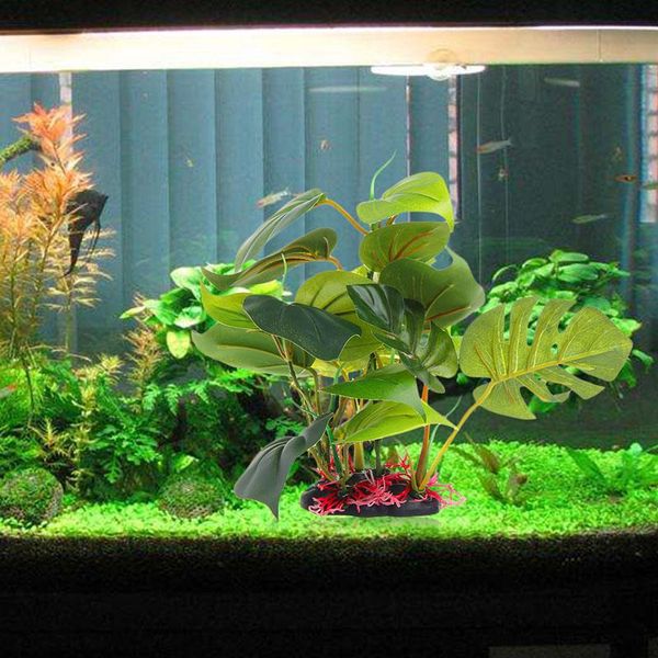 decorations 2 sizes green artificial plastic water grass plant ornament for beauty fish tank aquarium decoration z07 drop
decorations 2 sizes green artificial plastic water grass plant ornament for beauty fish tank aquarium decoration z07 drop