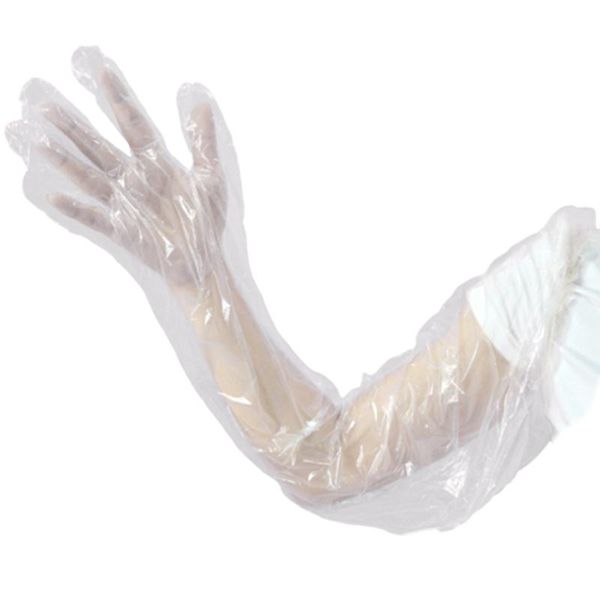 double disposable gloves clear cleaning /home/restaurant/graden kitchen household products
double disposable gloves clear cleaning /home/restaurant/graden kitchen household products