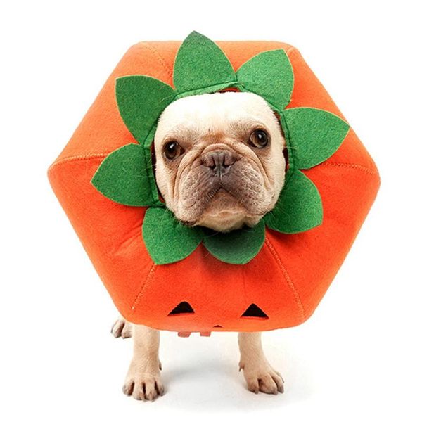 cute halloween pumpkin collar dress up multifunctional neckband soft puppy kitten recovery wound collar for cat dog costumes*/
cute halloween pumpkin collar dress up multifunctional neckband soft puppy kitten recovery wound collar for cat dog costumes*/