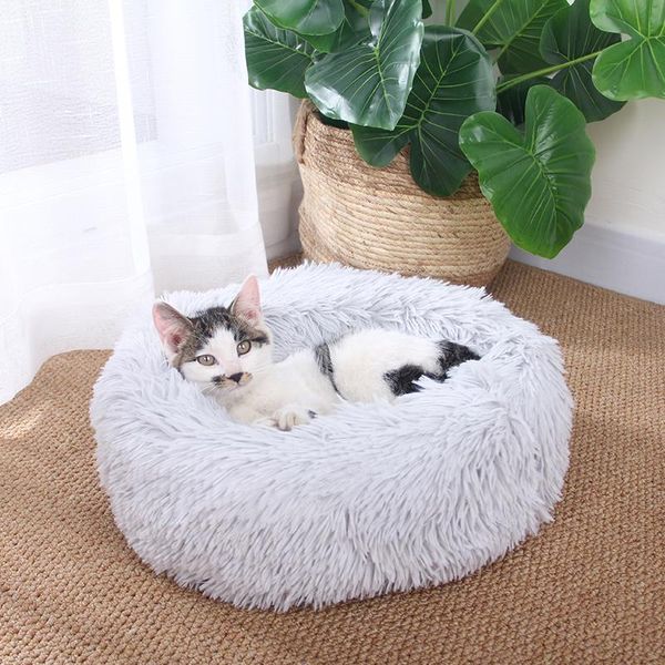 cat beds & furniture pet dog bed long velvet short shell all seasons soft comfortable fabric breathable litter accessories
cat beds & furniture pet dog bed long velvet short shell all seasons soft comfortable fabric breathable litter accessories