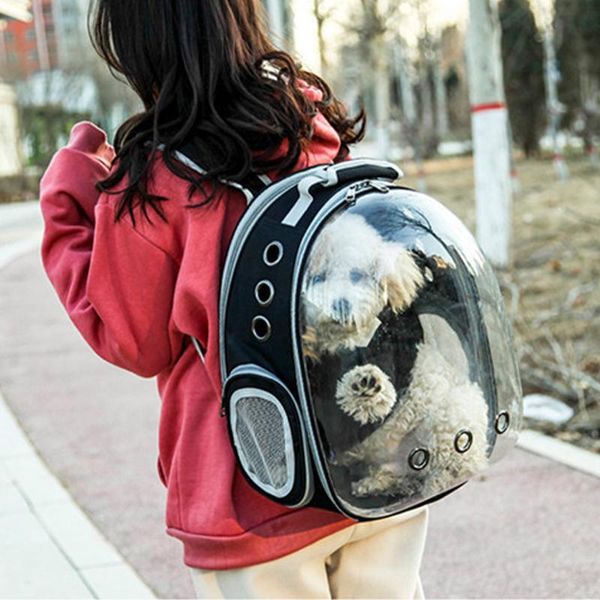 dog car seat covers thin pet expandable carrier backpack for animals transparent bubble clear mochilas para perros
dog car seat covers thin pet expandable carrier backpack for animals transparent bubble clear mochilas para perros