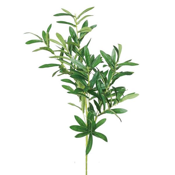 artificial european olive tree branches with leaves for home el wedding diy decoration flowers plants wreath leaf decorative & wreaths
artificial european olive tree branches with leaves for home el wedding diy decoration flowers plants wreath leaf decorative & wreaths