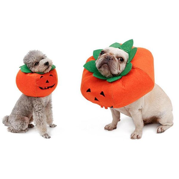 cat costumes lanlan halloween pumpkin shape pet collars for cats small dogs cute cosplay accessories neckband
cat costumes lanlan halloween pumpkin shape pet collars for cats small dogs cute cosplay accessories neckband