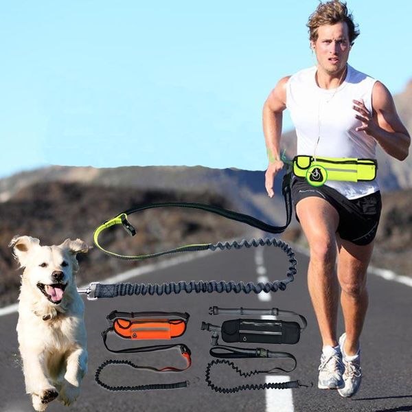 dog collars & leashes pet running leash with waist bag hands reflective pets jogging collar rope for small medium big dogs
dog collars & leashes pet running leash with waist bag hands reflective pets jogging collar rope for small medium big dogs