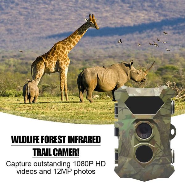 hunting cameras trail camera 12mp po traps animal detector 0.3s trigger time night vision waterproof wildlife monitoring
hunting cameras trail camera 12mp po traps animal detector 0.3s trigger time night vision waterproof wildlife monitoring
