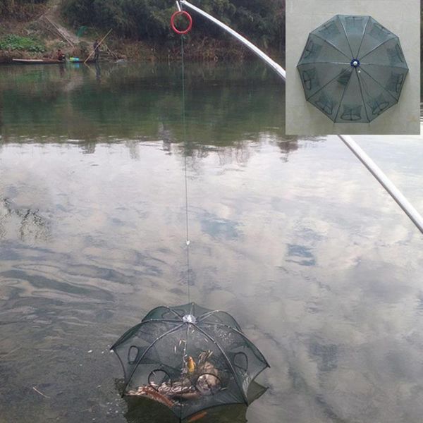 6/8/12/16/20 hole foldable portable automatic hexagonal fishing net crayfish fish trap shrimp carp accessories
6/8/12/16/20 hole foldable portable automatic hexagonal fishing net crayfish fish trap shrimp carp accessories