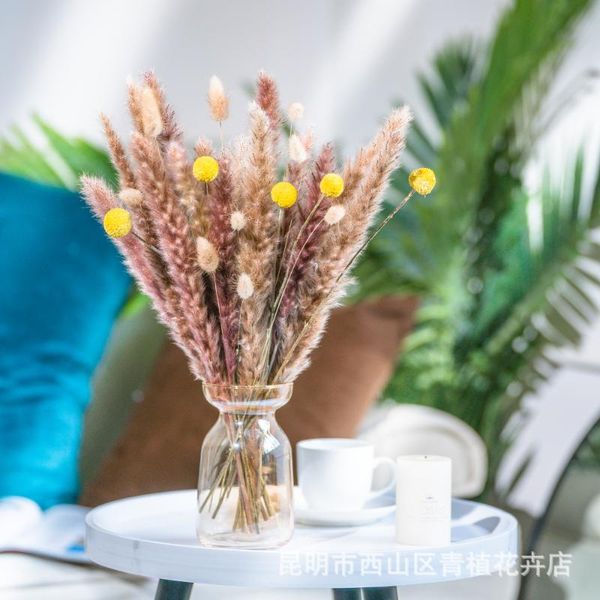decorative flowers & wreaths 30pcs 45cm reed pampas wheat ears tail grass natural dried bouquet wedding decoration hay for party bohe
decorative flowers & wreaths 30pcs 45cm reed pampas wheat ears tail grass natural dried bouquet wedding decoration hay for party bohe