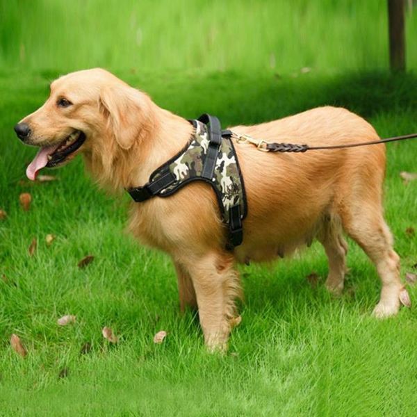 adjustable dog harness large walking outdoor vest collar pet supplies collars & leashes
adjustable dog harness large walking outdoor vest collar pet supplies collars & leashes