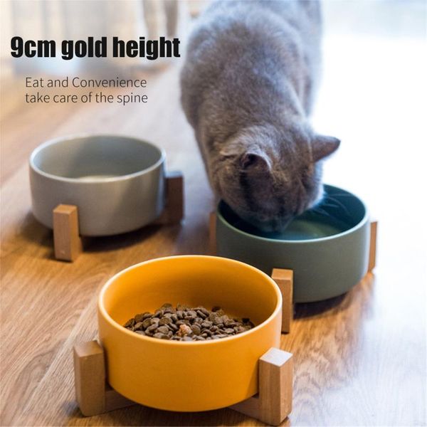 cat bowls & feeders dog bowl dish with wood stand no spill pet food water feeder dispenser automatic pets cats drink
cat bowls & feeders dog bowl dish with wood stand no spill pet food water feeder dispenser automatic pets cats drink