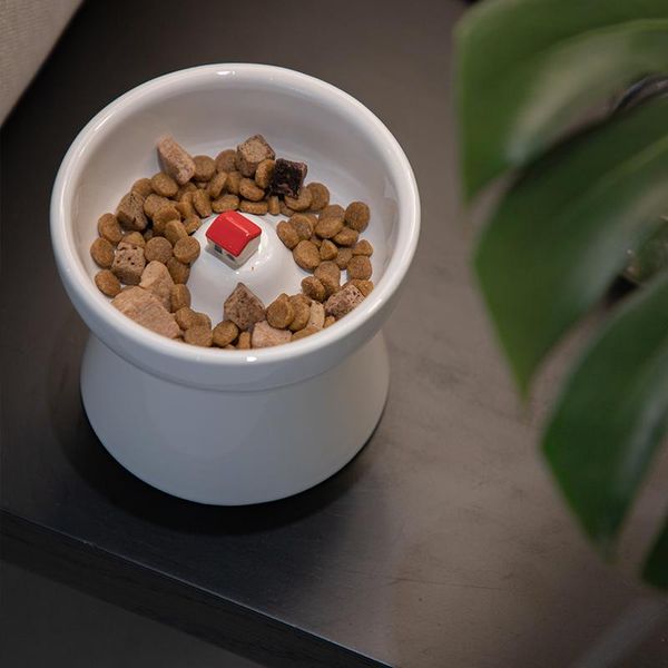 pet cat dog water drinker bowl stand feeder comederos para perros dish cartoon sucker bowls bottle dd60gw & feeders
pet cat dog water drinker bowl stand feeder comederos para perros dish cartoon sucker bowls bottle dd60gw & feeders