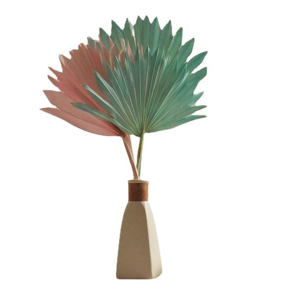 decorative flowers & wreaths 1pcs colorful palm fan leaf dried flower plants branch window party art wall hanging decoration wedding arrange
decorative flowers & wreaths 1pcs colorful palm fan leaf dried flower plants branch window party art wall hanging decoration wedding arrange