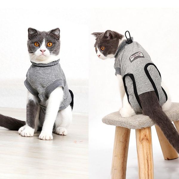cat costumes multifunctional recovery outfit clothes e-collar alternative after preventing licking wounds scratching
cat costumes multifunctional recovery outfit clothes e-collar alternative after preventing licking wounds scratching