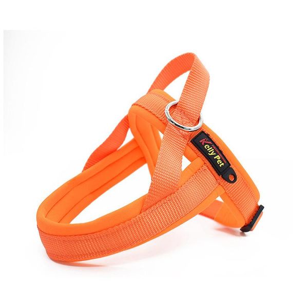 dog collars & leashes pet chest strap small medium large leash a7 explosion-proof walker rope chain supplies
dog collars & leashes pet chest strap small medium large leash a7 explosion-proof walker rope chain supplies