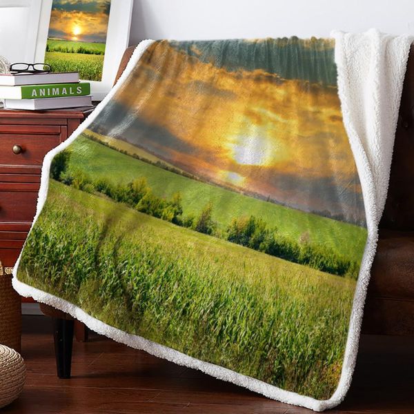 blankets grassland the scenery sky fleece blanket office sofa cashmere bed cover bedspread warm for beds
blankets grassland the scenery sky fleece blanket office sofa cashmere bed cover bedspread warm for beds