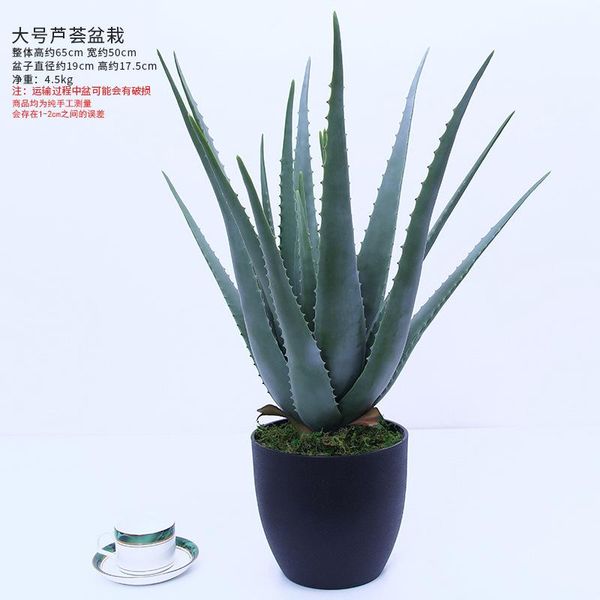 decorative flowers & wreaths drop simulation plant feel soft rubber aloe potted creative green decoration flower wholesale
decorative flowers & wreaths drop simulation plant feel soft rubber aloe potted creative green decoration flower wholesale