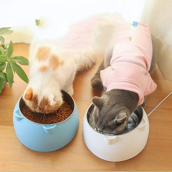 cat bowls & feeders stainless steel bowl non slip puppy base drinking water feeder tilt neck protection dish pet
cat bowls & feeders stainless steel bowl non slip puppy base drinking water feeder tilt neck protection dish pet