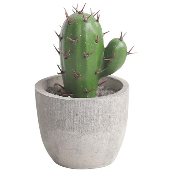 simulation cactus potted plant cute fake home garden decoration farmhouse office deskdecorative flowers & wreaths
simulation cactus potted plant cute fake home garden decoration farmhouse office deskdecorative flowers & wreaths
