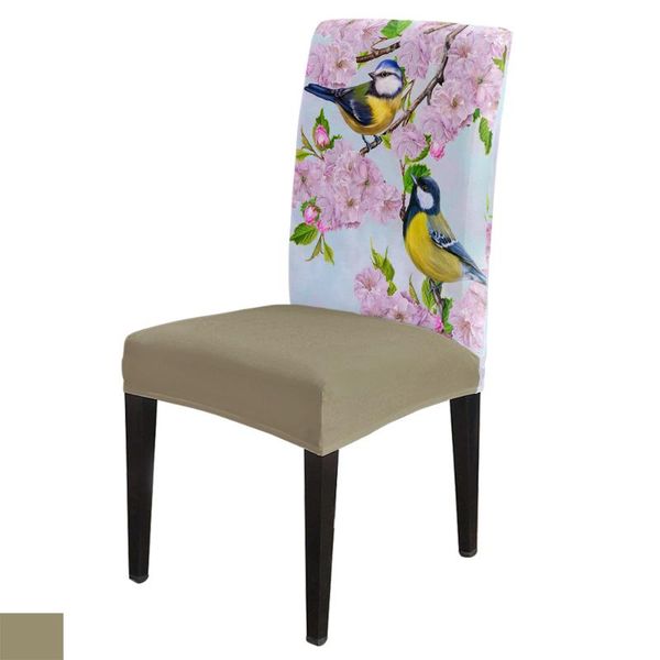 chair covers dining room cover bird flowers leaves branch plant table chairs for kitchen tablecloth home decor
chair covers dining room cover bird flowers leaves branch plant table chairs for kitchen tablecloth home decor