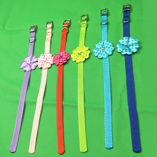 dog collars & leashes pet cat products luxury elegant little collar
dog collars & leashes pet cat products luxury elegant little collar