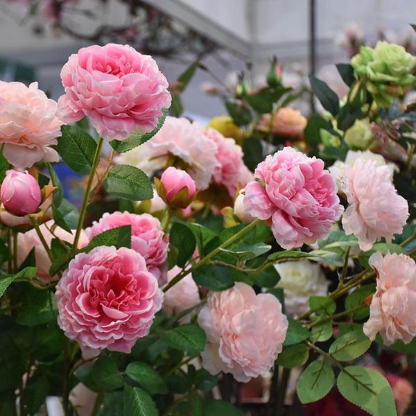 decorative flowers & wreaths bunch artificial 3 heads peony flower concise bridal wedding bouquet table decoration
decorative flowers & wreaths bunch artificial 3 heads peony flower concise bridal wedding bouquet table decoration
