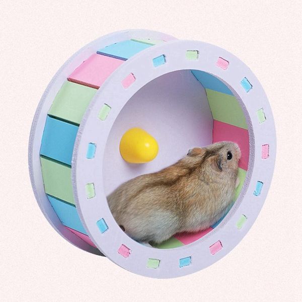 small animal supplies pet fitness running wheel for hamster little mouse sports exercise diy
small animal supplies pet fitness running wheel for hamster little mouse sports exercise diy