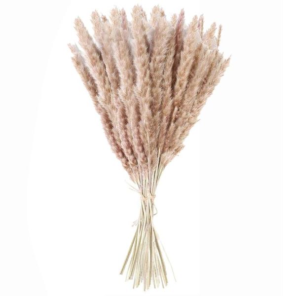 natural reed dried flowers brown bouquet boho decoration home bedroom living room 50cm feather bunch pampas drop decorative & wreaths
natural reed dried flowers brown bouquet boho decoration home bedroom living room 50cm feather bunch pampas drop decorative & wreaths