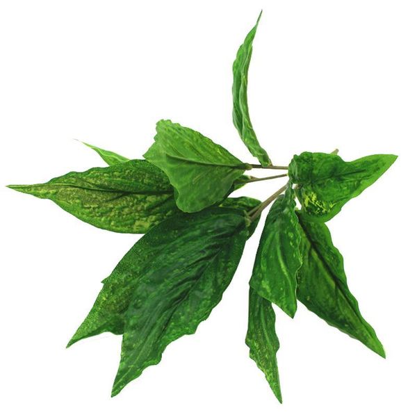 decorative flowers & wreaths artificial plants croton lifelike cloth plant leaf faux for home garden party decoration plantas artificiais
decorative flowers & wreaths artificial plants croton lifelike cloth plant leaf faux for home garden party decoration plantas artificiais