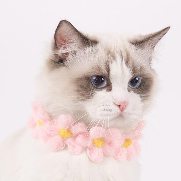 cat collars & leads bib decoration adjustable collar hand-woven accessories puppet kitten bow tie cute pet dog flowers
cat collars & leads bib decoration adjustable collar hand-woven accessories puppet kitten bow tie cute pet dog flowers