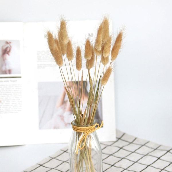 20pcs natural dried flowers white tails artificial colorful fake tail grass bouquet long bunches plant pastoral
20pcs natural dried flowers white tails artificial colorful fake tail grass bouquet long bunches plant pastoral