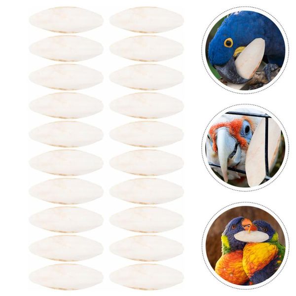 other bird supplies 20pcs parrot desalted cuttlefish bone chewing birds training chew
other bird supplies 20pcs parrot desalted cuttlefish bone chewing birds training chew
