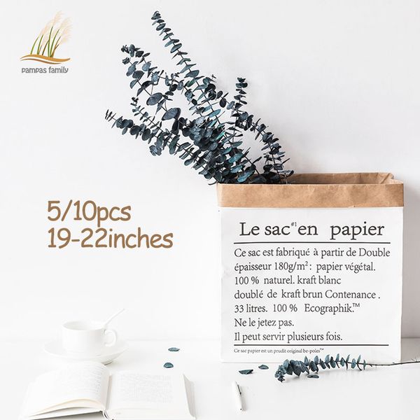 19-22/5pcs rea natura dried eucayptus bouquet fresh eucayptus branches dried immorta fowers eaves wedding home decor
19-22/5pcs rea natura dried eucayptus bouquet fresh eucayptus branches dried immorta fowers eaves wedding home decor