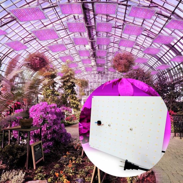 quantum led grow light 500w waterproof phytolamp leds chip board heat sink for indoor plant ac 85-265v lights
quantum led grow light 500w waterproof phytolamp leds chip board heat sink for indoor plant ac 85-265v lights