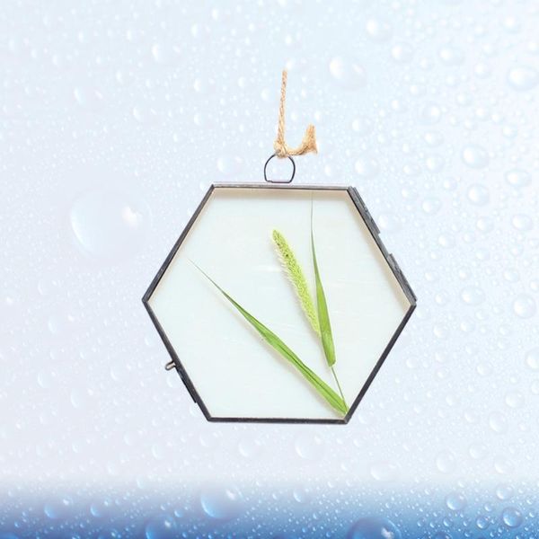 frames hexagon glass po prame decorative picture frame specimen holder hanging home decoration (black)
frames hexagon glass po prame decorative picture frame specimen holder hanging home decoration (black)