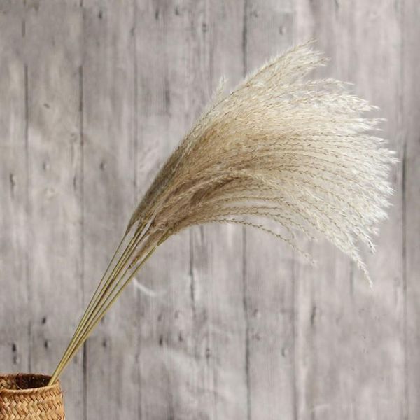 decorative flowers & wreaths dried flower bouquets natural reed bulrush phragmites for wedding party table centerpiece decor
decorative flowers & wreaths dried flower bouquets natural reed bulrush phragmites for wedding party table centerpiece decor
