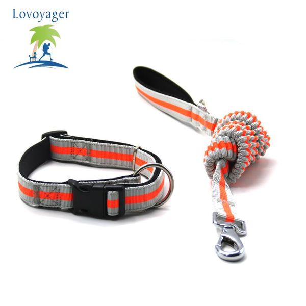 lovoyager fluorescent color pet dog adjustable collar leashes soft elastic for running jogging walking collars &
lovoyager fluorescent color pet dog adjustable collar leashes soft elastic for running jogging walking collars &