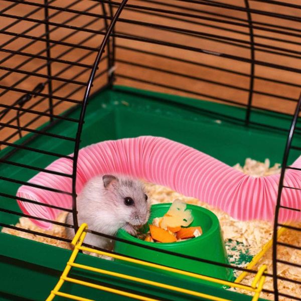 plastic fun training tube durable tunnel hamster toy pet game for small pets multi cage pipeline animal supplies
plastic fun training tube durable tunnel hamster toy pet game for small pets multi cage pipeline animal supplies