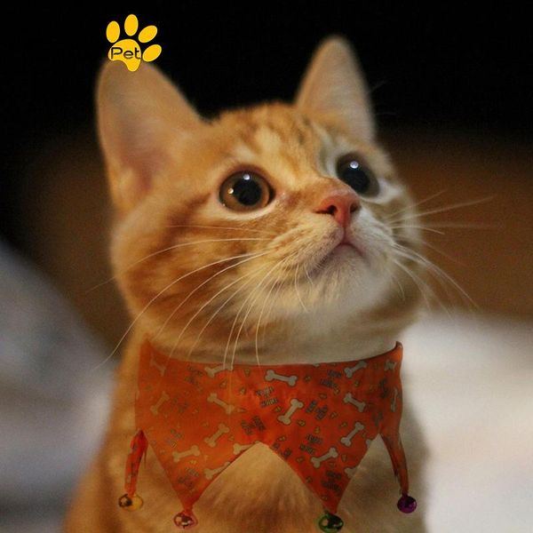 cat costumes halloween pet scarf collar with bells adjustable dog bow tie jewelry accessories supplies
cat costumes halloween pet scarf collar with bells adjustable dog bow tie jewelry accessories supplies