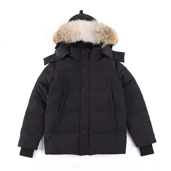 Ig Classic Fashion Real Coyote Fur Winter Mens expeditions Wyndham outdoor Parka Goose designer Down stunning thick Jacket warm, Black
Ig Classic Fashion Real Coyote Fur Winter Mens expeditions Wyndham outdoor Parka Goose designer Down stunning thick Jacket warm, Black