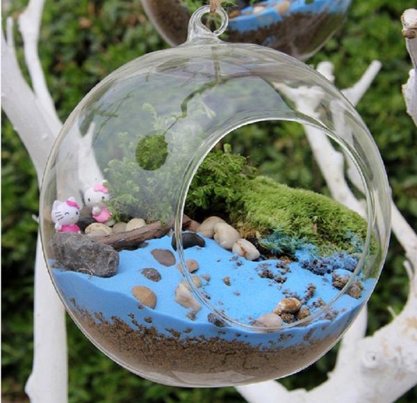 vases o.roselif diy clear fashion transparent glass round terrarium flower plant stand hanging vase hydroponic r home decor
vases o.roselif diy clear fashion transparent glass round terrarium flower plant stand hanging vase hydroponic r home decor