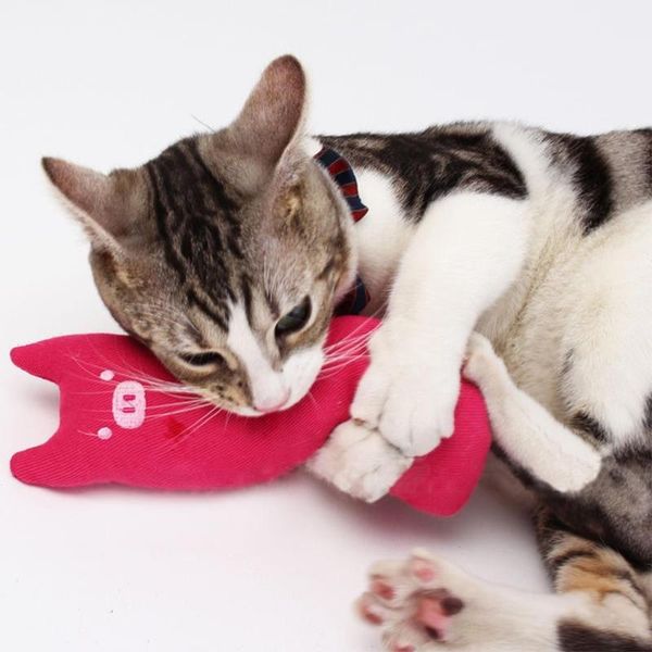 teeth grinding catnip toys funny interactive plush cat toy pet kitten chewing vocal thumb bite mint for cats
teeth grinding catnip toys funny interactive plush cat toy pet kitten chewing vocal thumb bite mint for cats