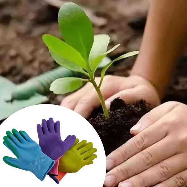 disposable gloves kids children protective durable waterproof garden anti bite cut collect seashells protector planting work gadget
disposable gloves kids children protective durable waterproof garden anti bite cut collect seashells protector planting work gadget