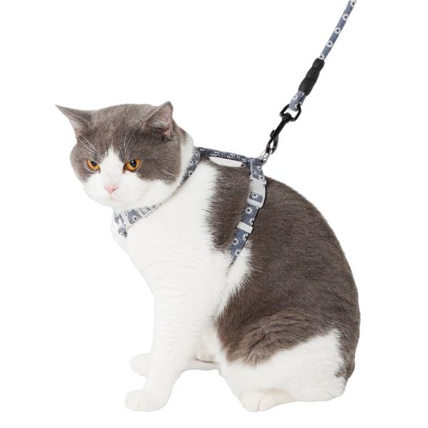 dog collars & leashes cat leash and harness accessories adjustable small lovely kitty collar outdoor dogs
dog collars & leashes cat leash and harness accessories adjustable small lovely kitty collar outdoor dogs