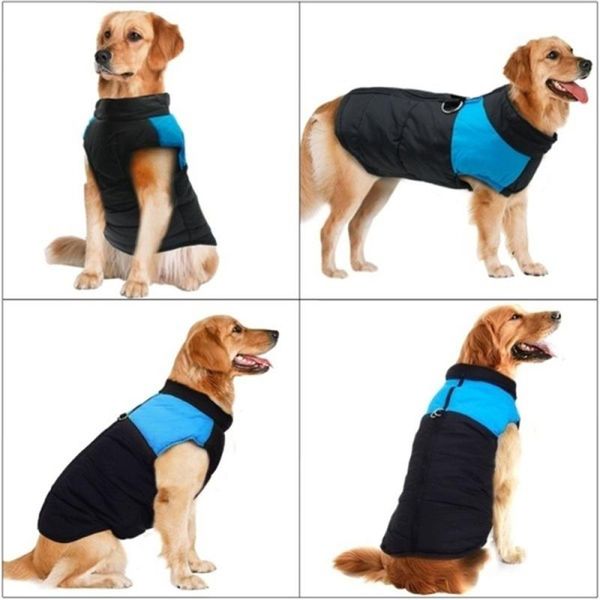 dog apparel coat winter down jacket vest pet costume comfortable befitting clothes pets dogs 2 colors cotton
dog apparel coat winter down jacket vest pet costume comfortable befitting clothes pets dogs 2 colors cotton