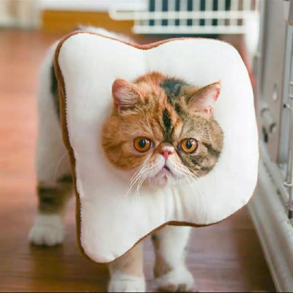 cat collars & leads net red collar anti-licking adjustable elizabeth circle toast bread slices of shame bib headgear
cat collars & leads net red collar anti-licking adjustable elizabeth circle toast bread slices of shame bib headgear