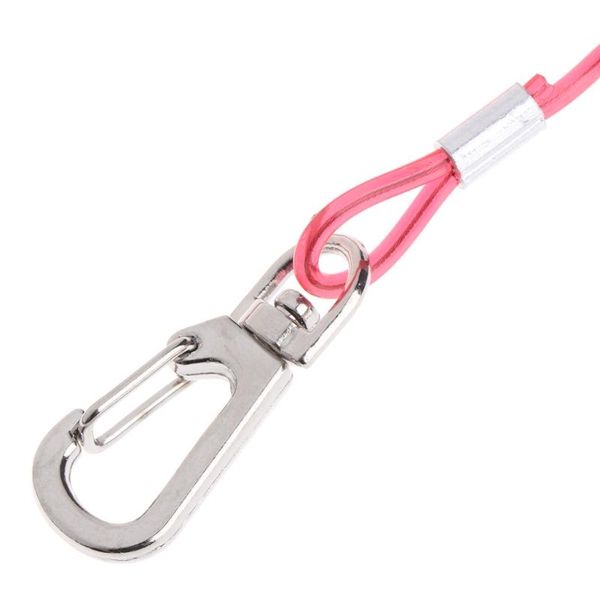 dog collars & leashes parrot rope pet flying leash tpu anti bite bird outdoor starling training flight qw
dog collars & leashes parrot rope pet flying leash tpu anti bite bird outdoor starling training flight qw